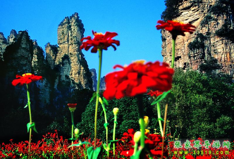 张家界国家森林公园——中国第一个国家森林公园