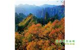 张家界、天子山、武陵源两晚三日游