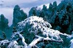 【纯玩散拼线路17】张家界、天子山、芙蓉镇、猛洞河漂流、凤凰古城三晚四日游