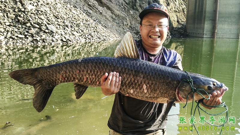 湘西张家界狗司令