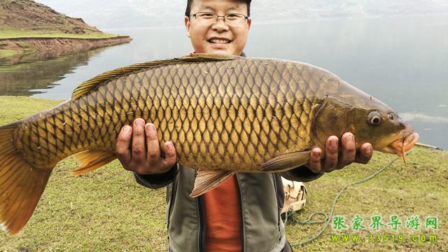 湘西张家界狗司令