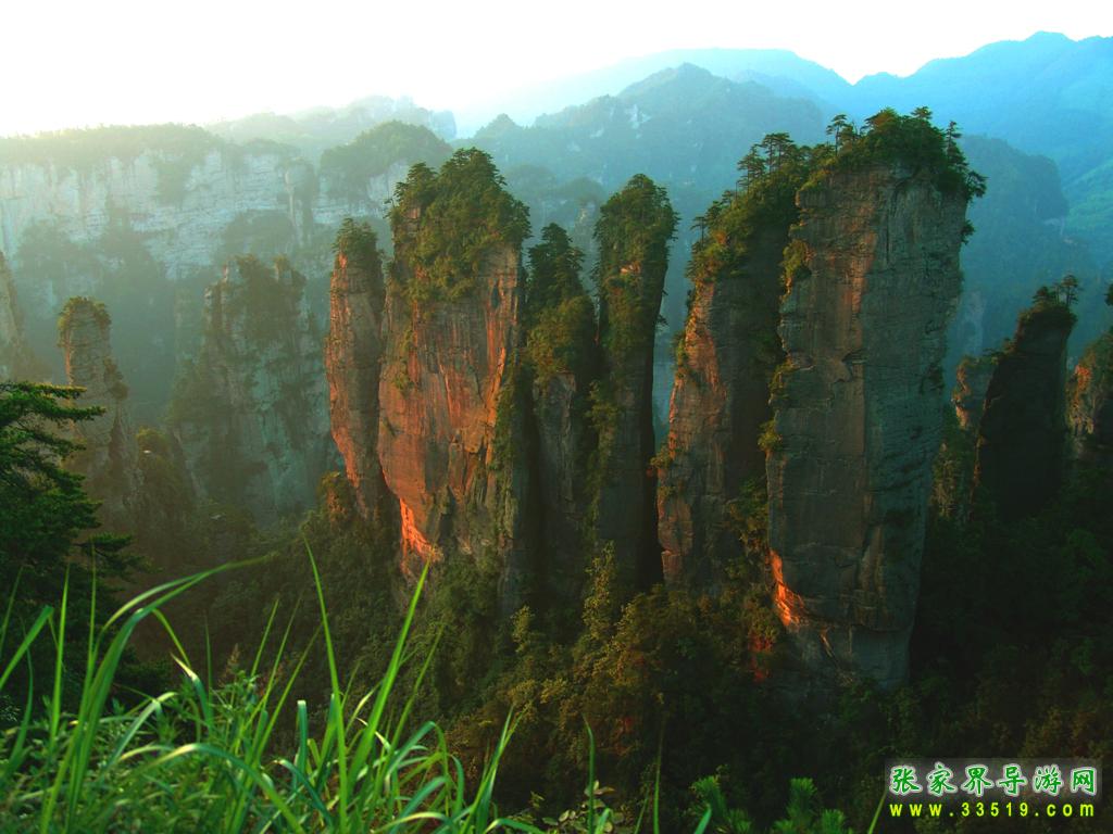 海南五指山：热带雨林冬日好“枫”景 | 极目新闻
