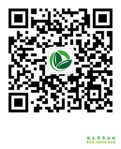 关于 我们 微信 扫描 二维