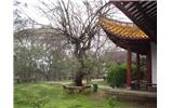 君山公园