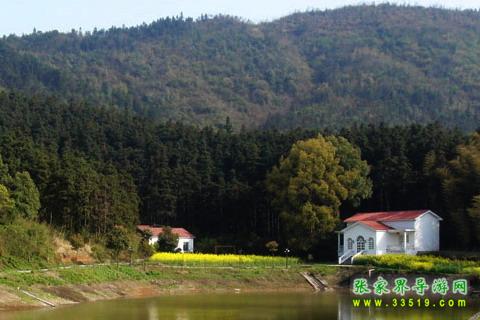 桃花山森林公园