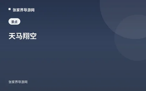 天马翔空