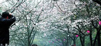 湖南省森林植物园