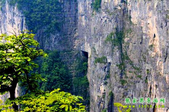 天门山国家森林公园