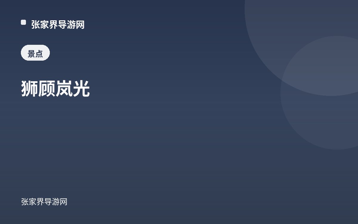 狮顾岚光