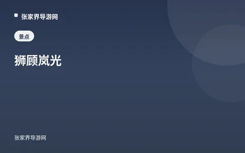 狮顾岚光