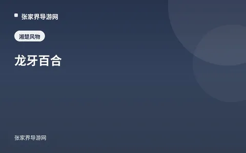 龍牙百合