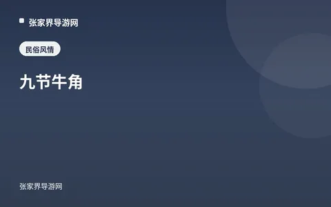 九节牛角