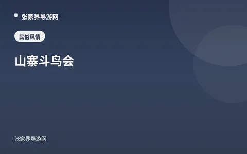 山寨斗鸟会