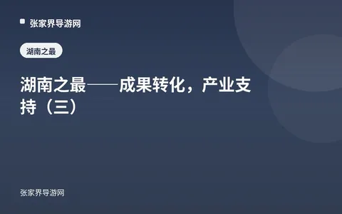 湖南之最——成果转化，产业支持（三）