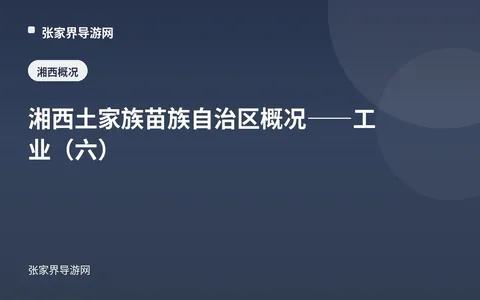 湘西土家族苗族自治区概况——工业（六）