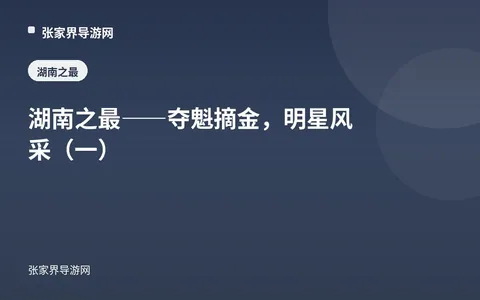 湖南之最——夺魁摘金，明星风采（一）