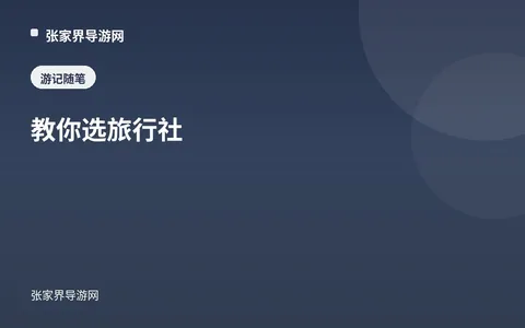 教你选旅行社