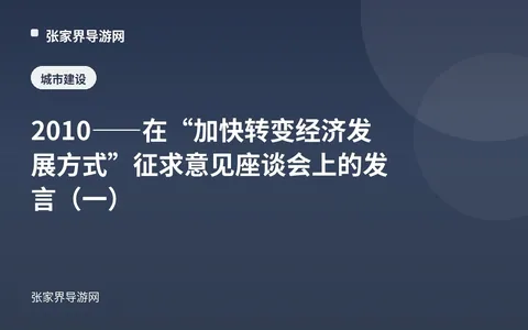 2010——在“加快转变经济发展方式”征求意见座谈会上的发言（一）
