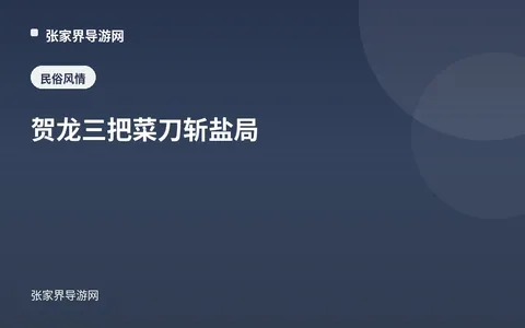贺龙三把菜刀斩盐局
