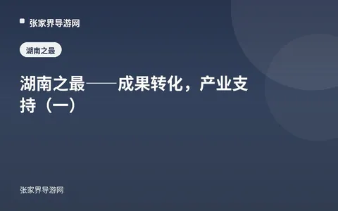 湖南之最——成果转化，产业支持（一）