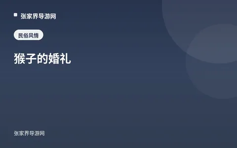猴子的婚礼