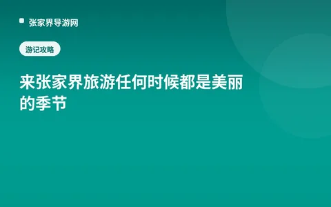 来张家界旅游 任何时候都是美丽的季节