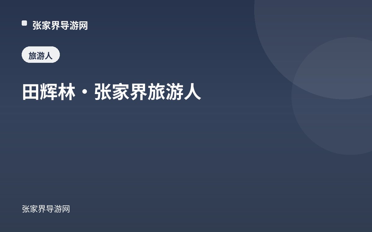 田辉林：天门山旅游股份有限公司副总经理