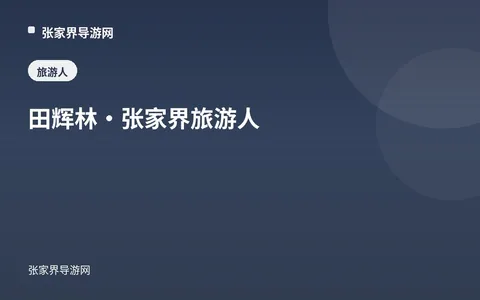 田辉林：天门山旅游股份有限公司副总经理