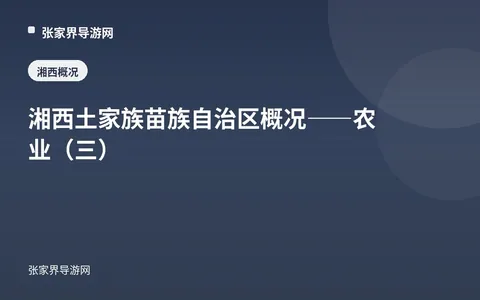 湘西土家族苗族自治区概况——农业（三）