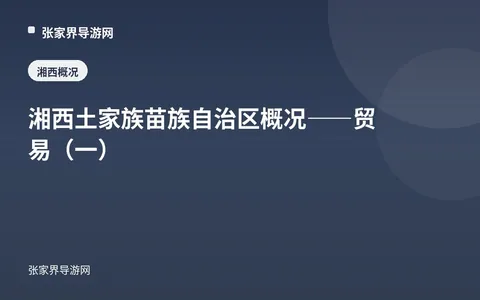 湘西土家族苗族自治区概况——贸易（一）