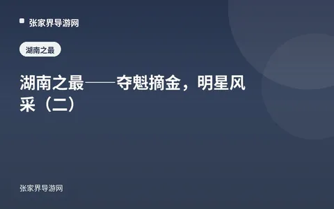 湖南之最——夺魁摘金，明星风采（二）