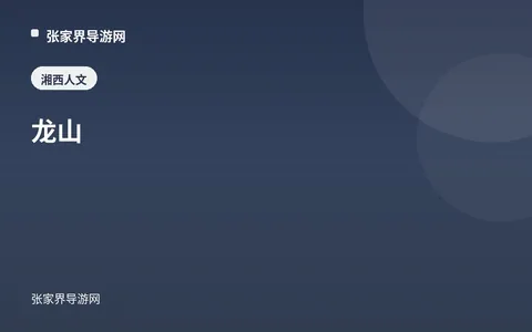 龙山