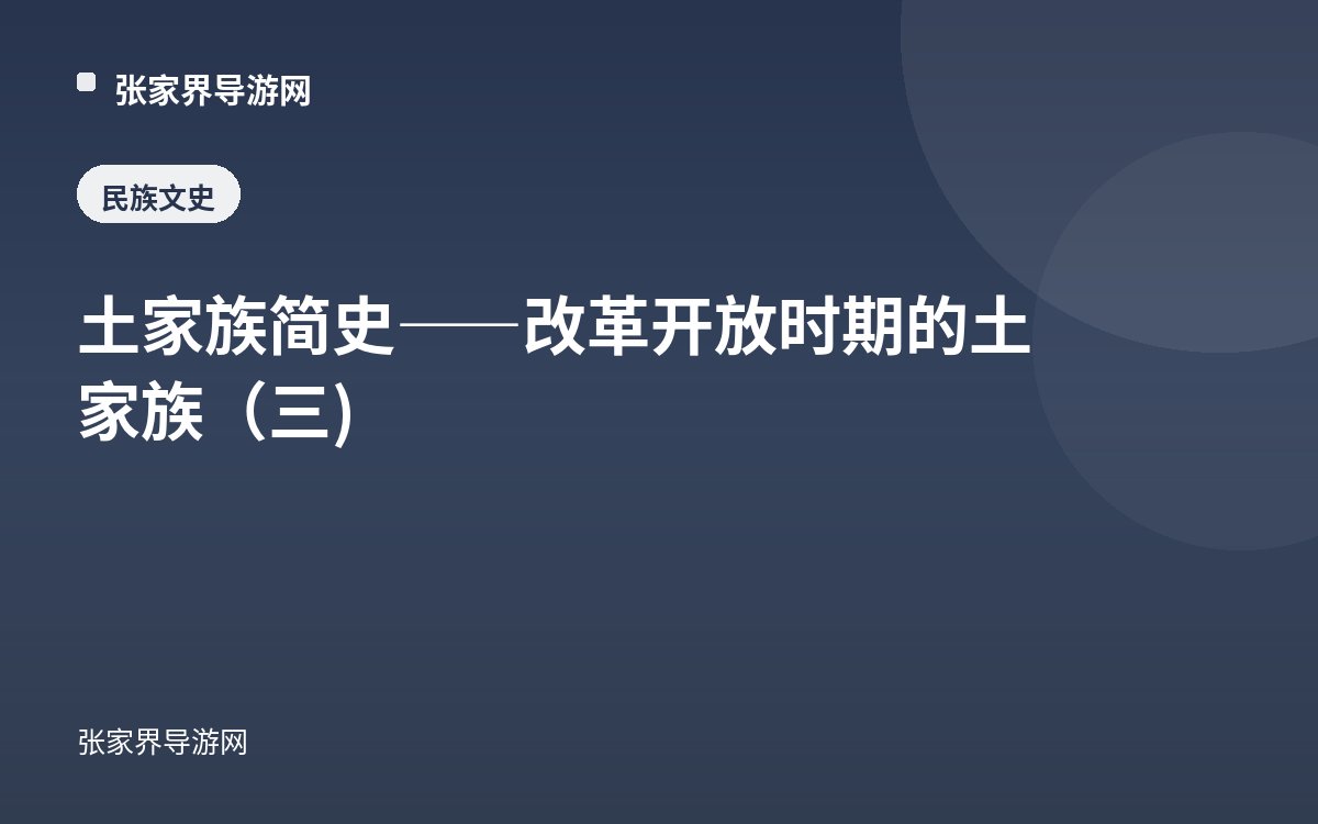 土家族簡史——改革開放時期的土家族（三)