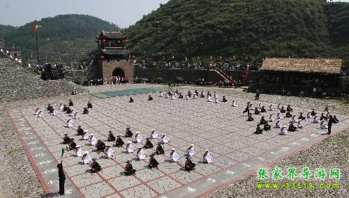 叶文智·照片3