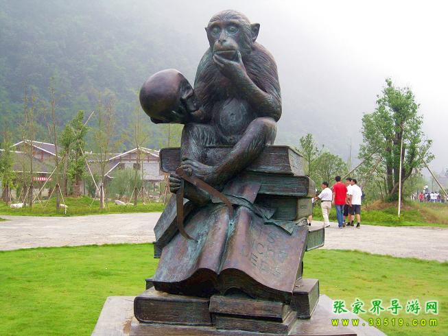 叶文智·照片5