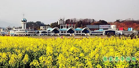 张家界自助游攻略之二：从张家界市内如何去景区？
