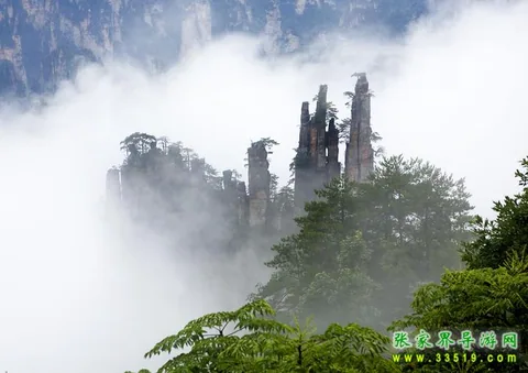 十一黄金周旅游线路：张家界自助游线路攻略