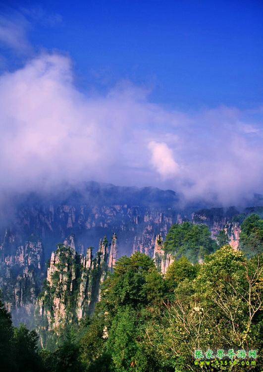 天子山风光