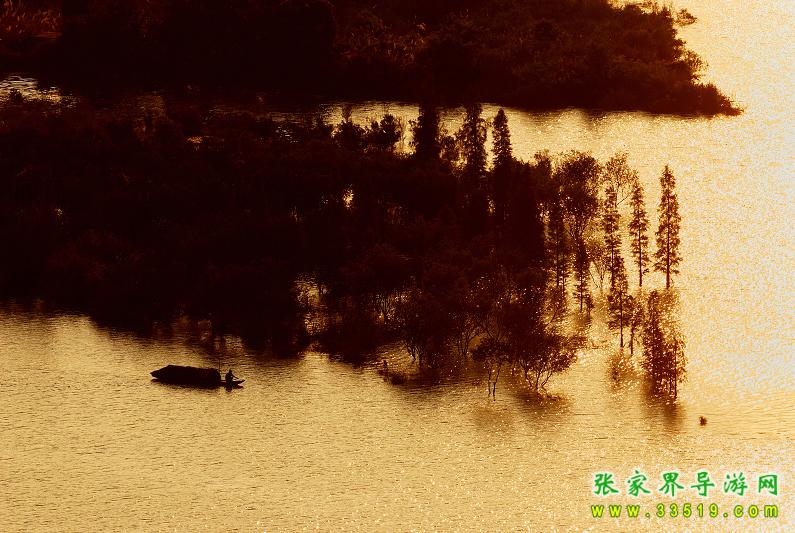 张家界澧水河汛期风光