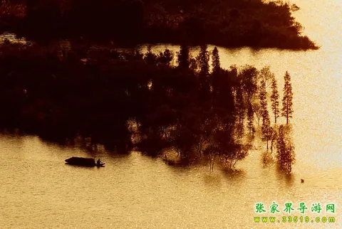 张家界澧水河汛期风光
