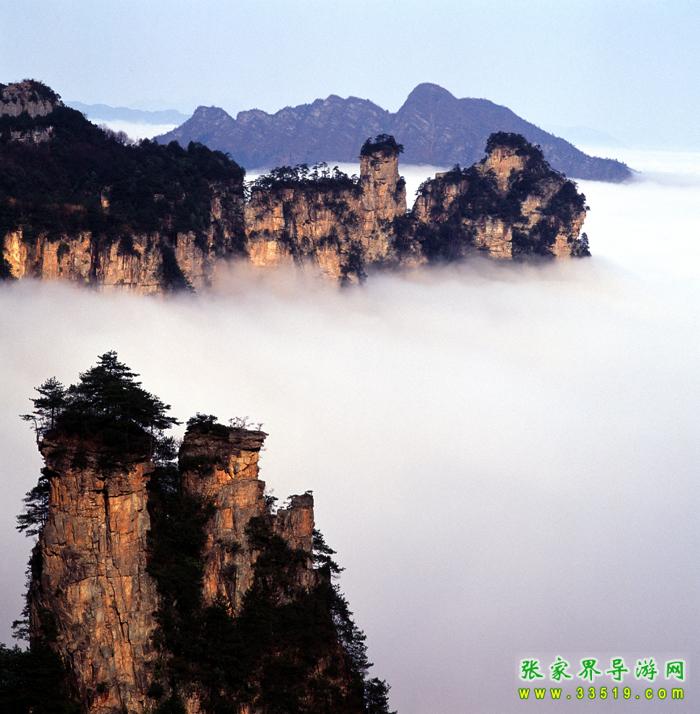 天子山在云雾里