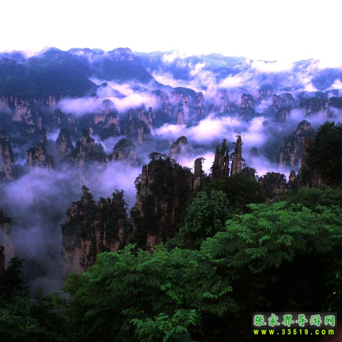 天子山全景