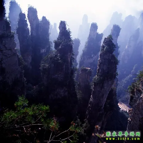 天子山点将台