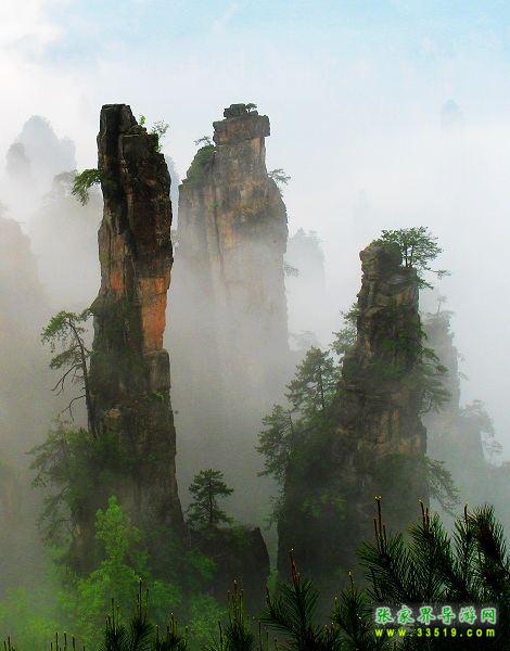 天子山桃园结义