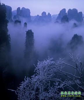 寒冬中的天子山