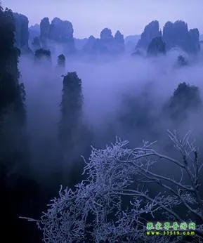 寒冬中的天子山
