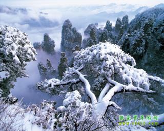 冰霜天子山