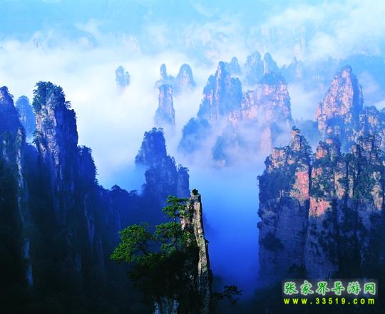 天子山峰林