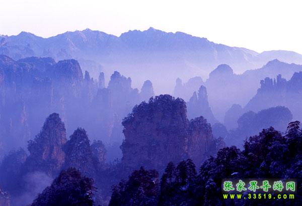 天子山魅影