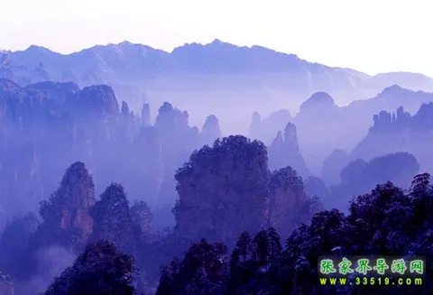 天子山魅影
